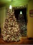 Každá rodina má jedinečně ozdobený vánoční stromek.